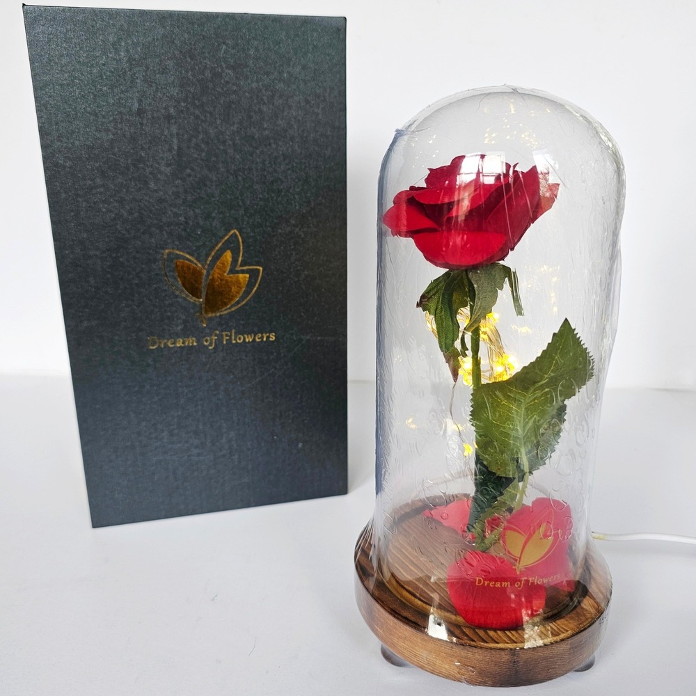 Dream of Flowers Beauty and the Beast Red Rose in‎ Glass Dome LED Light Gift Box